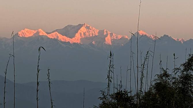 Shreya’s column for newspapers in November is about saving the planet in her own distinctive&nbsp;voice